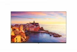 Коммерческий телевизор LG 65